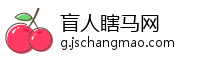 盲人瞎马网